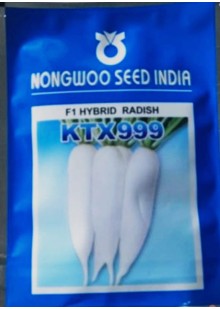 F1 Hy Radish KTX 999
